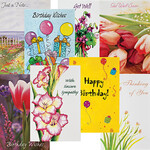 All Occasion Cards Value Pack of 20