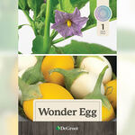 Wonder Egg Plant