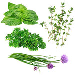 Bag O'Blooms® Basic Herb Garden Mix