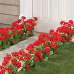 All-Weather Red Geranium Bush by OakRidge™