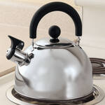 Stainless Steel Whistling Tea Kettle by Home-Style Kitchen™