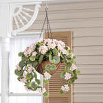 Fully Assembled Geranium Hanging Basket by OakRidge™