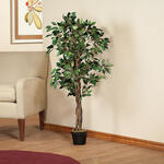 Artificial Ficus Tree by OakRidge™     XL