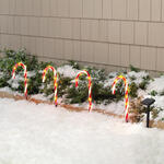 Solar Candy Cane Lights by Fox River™ Creations, Set of 4