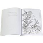 Birds at Home: 50 State Birds & Flowers Coloring Book