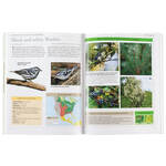 Garden Secrets for Attracting Birds Book