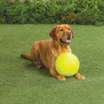 Giant Dog Tennis Ball, 9 1/2