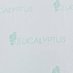 Eucalyptus Scented Mattress Cover by OakRidge™