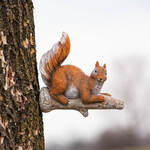 Resin Squirrel Tree Décor by Fox River™ Creations
