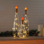 Flame Wine Bottle Lights, Set of 3 by Holiday Peak™