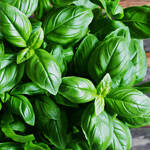 Bag O'Blooms® Italian Herb Mix Saddle Bag