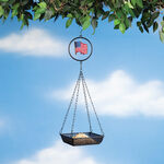 Seasonal Hanging Wire Basket by Fox River™ Creations