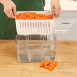 Storage Container with Drain Basket and Divider by Chef's Pride™