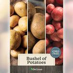 Bushel of Potatoes