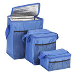 Insulated Cooler Bags, Set of 3