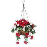 Fully Assembled Mini Poinsettia Hanging Basket by Oakridge™