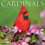 Cardinals Wall Calendar