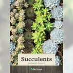 Grower's Choice Succulents, Set of 5
