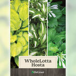 WholeLotta Hosta Mix